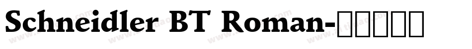 Schneidler BT Roman字体转换